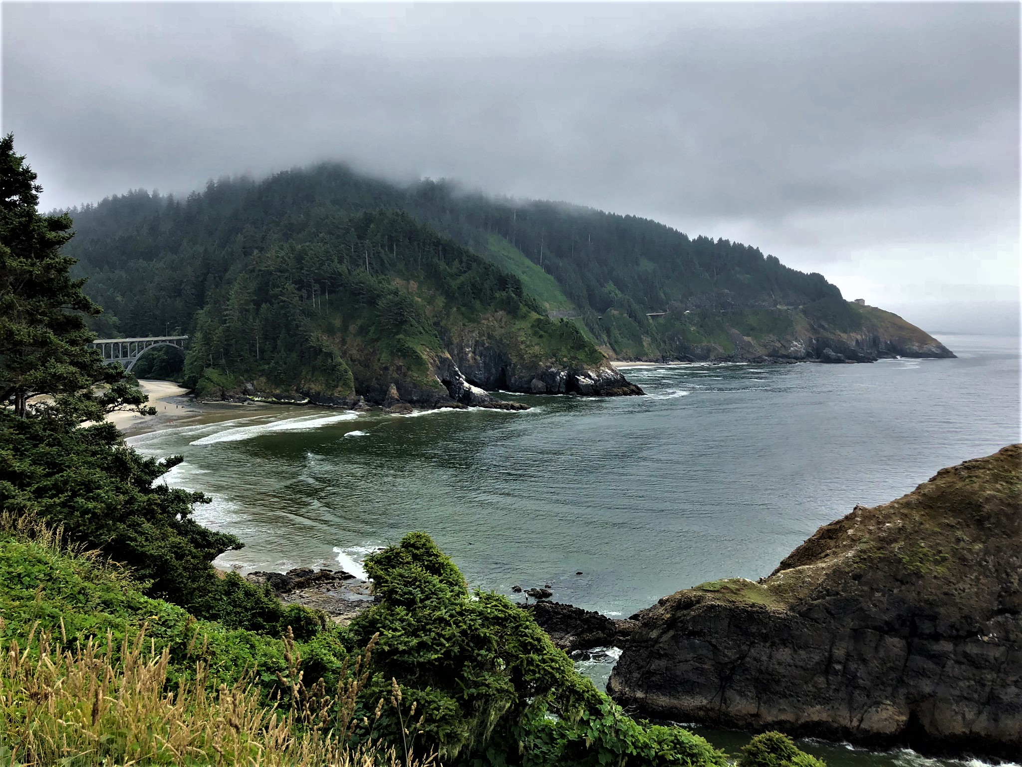 HacetaHeadView2OregonCoastDariceDronzek.jpg